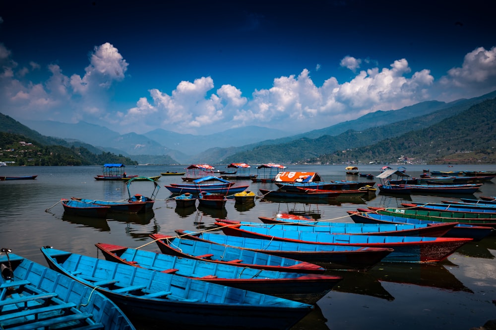 white and blue boats during daytime