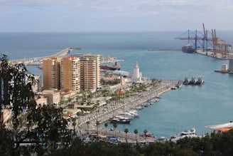 A scenic view of the Rijeka port showcasing vibrant maritime activity.