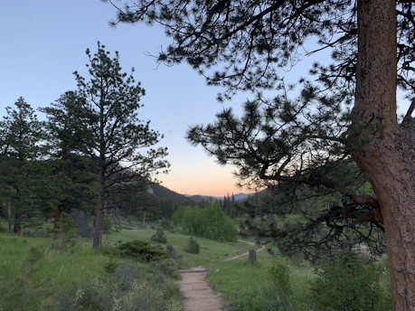 A serene twilight scene of a lone path winding through a quiet forest, bathed in soft navy and charcoal shadows with hints of golden light filtering through the trees.