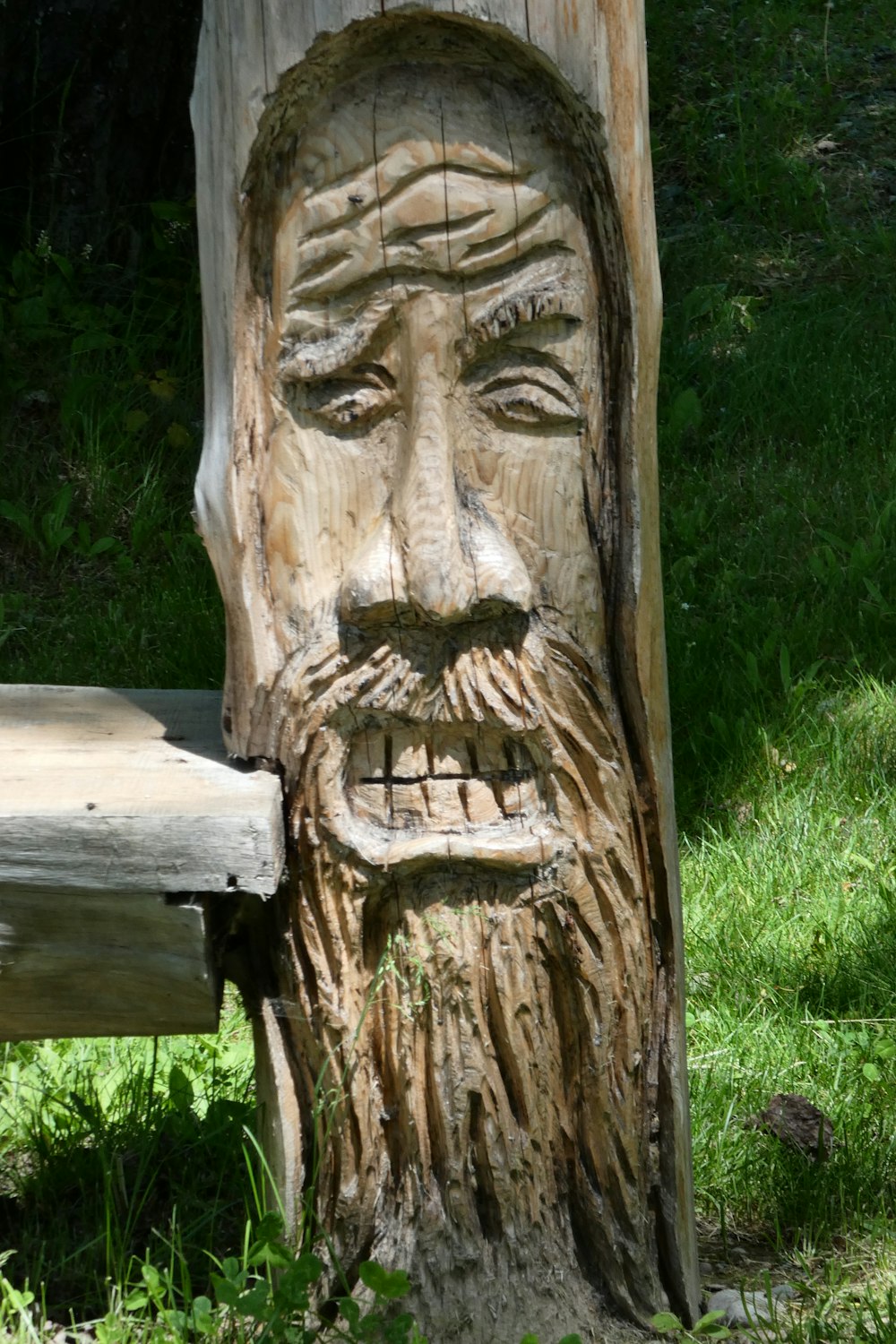 tree trunk with face engraved