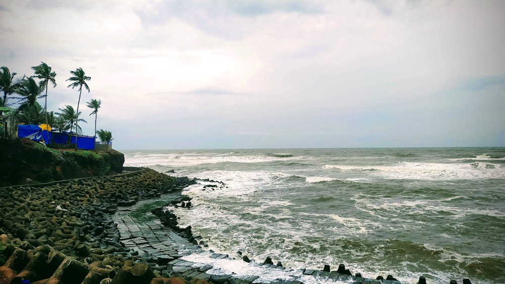 waves splashing on seashore during daytime