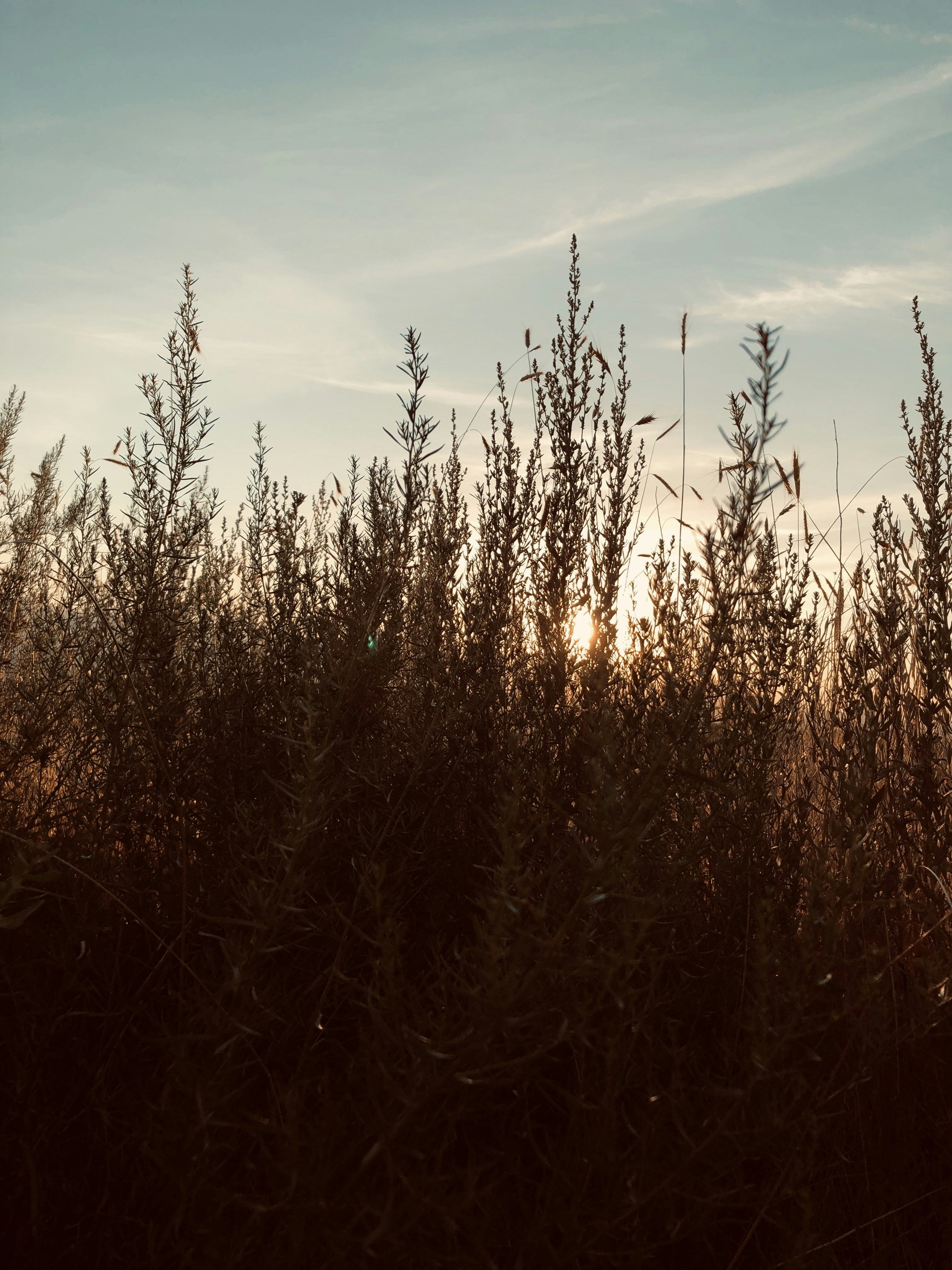 Photo by no_spandex_required