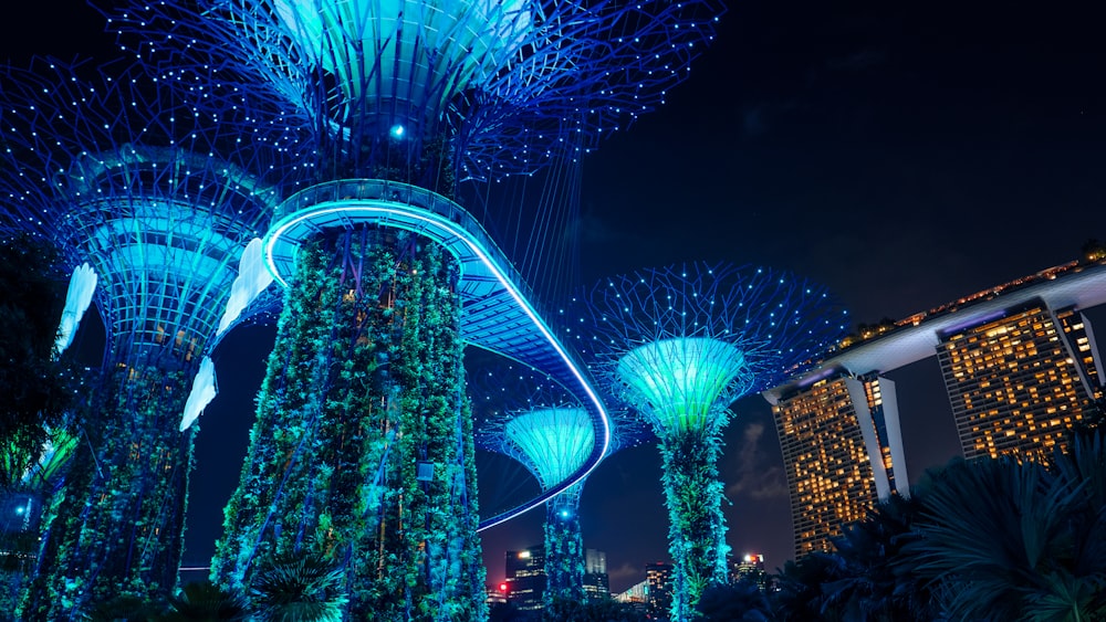 blue lighted Gardens by the Bay during night