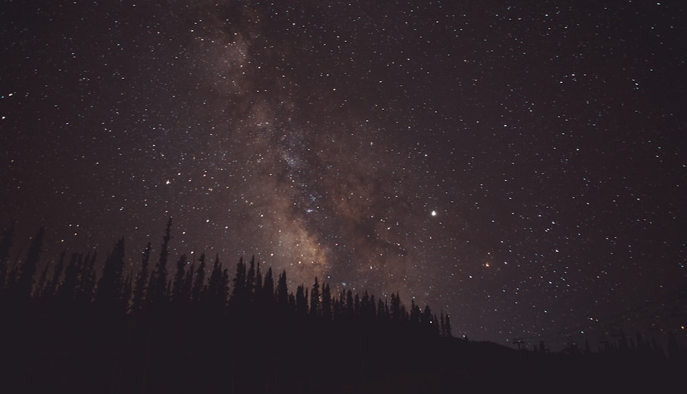 the night sky is filled with stars and trees