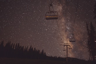 cable cars viewing trees at night time