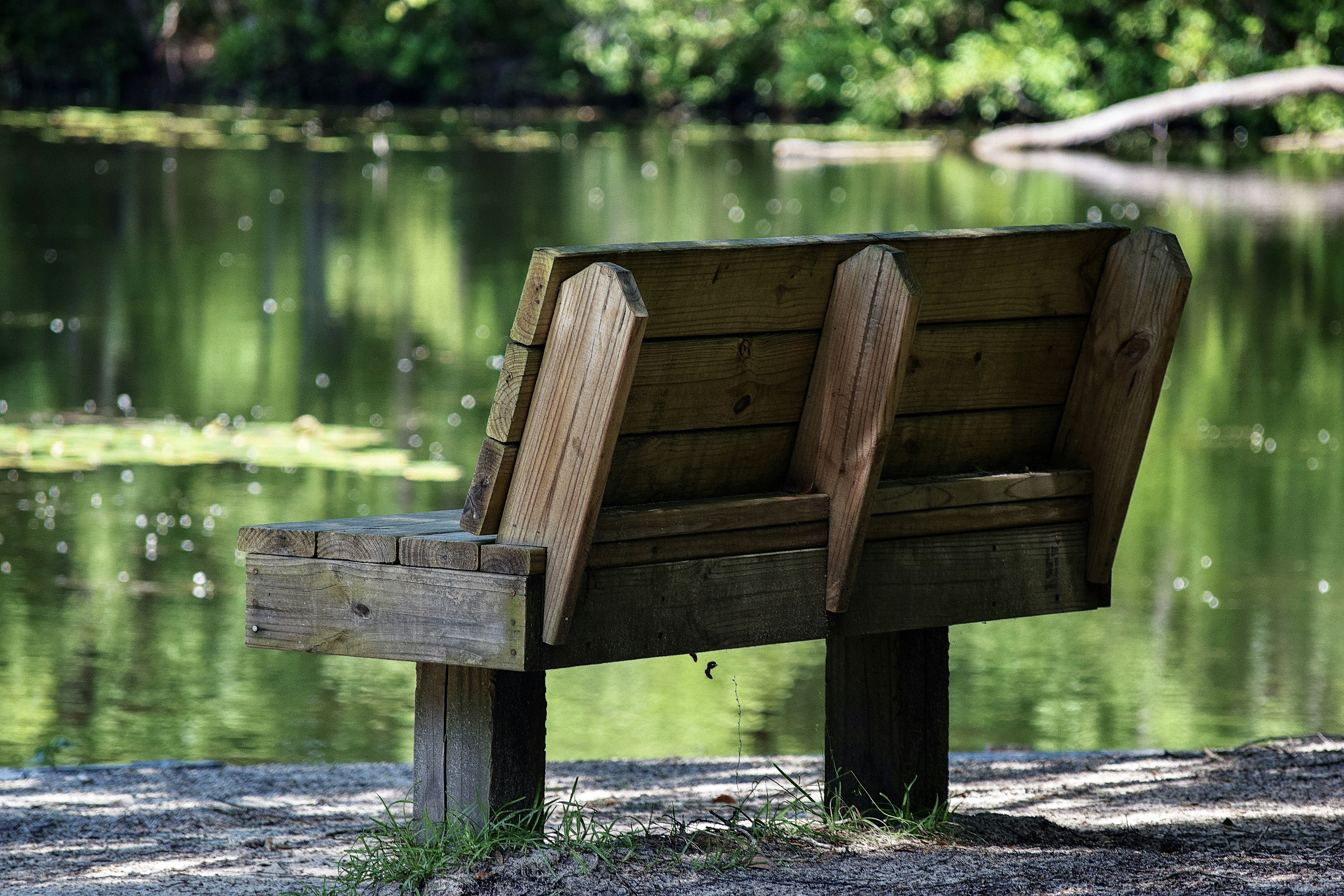brown wooden bench near body of water