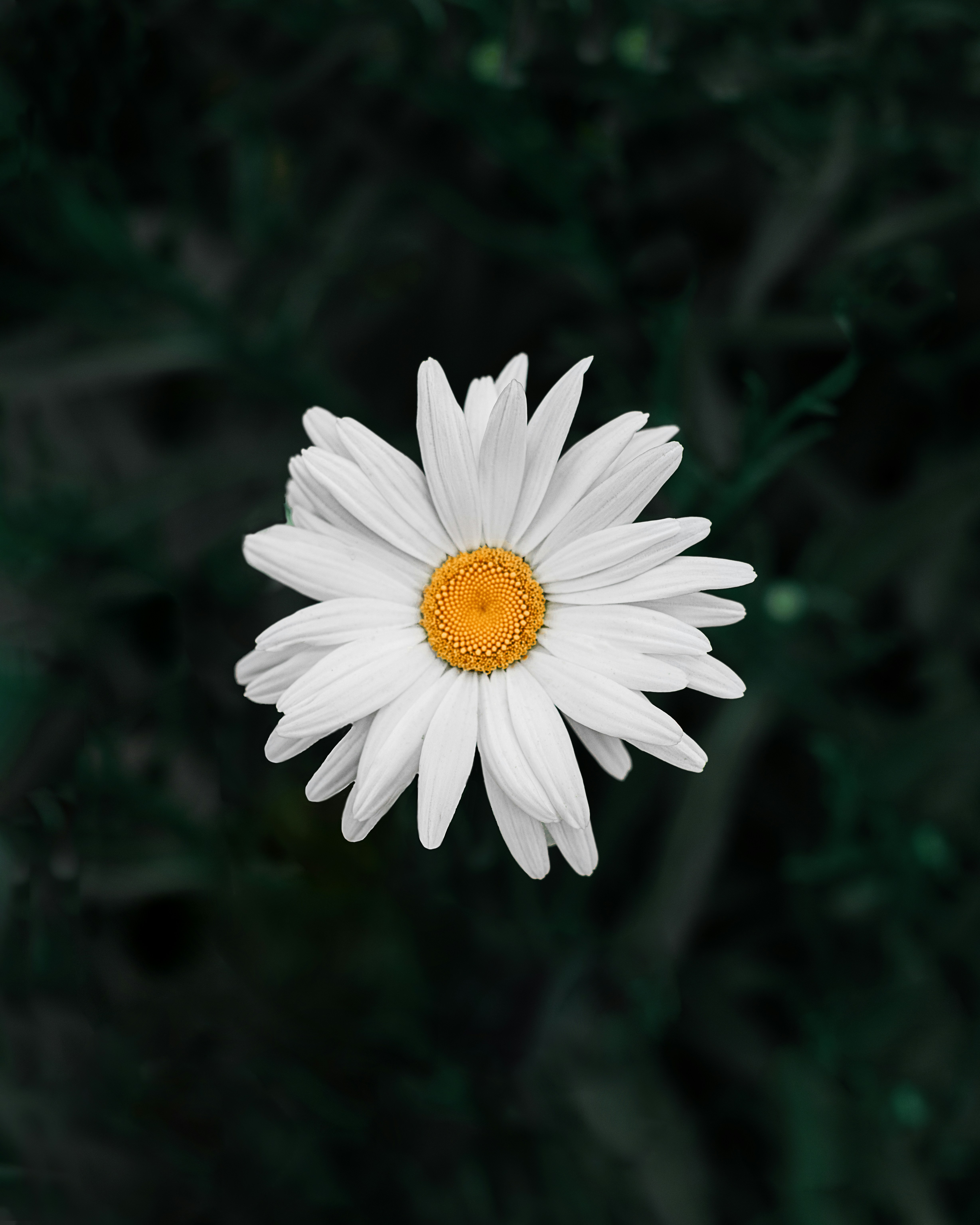 Photo by mmiladshams