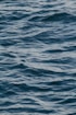 calm ocean