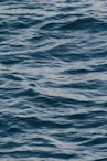 calm ocean