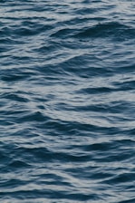 calm ocean