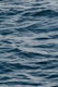 calm ocean
