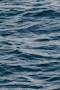 calm ocean