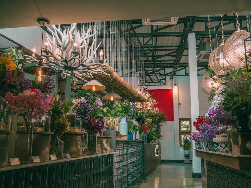 lighted pendant lamps under assorted-color potted flowers