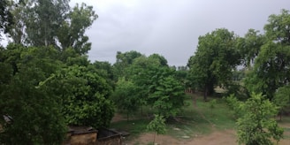 A serene aerial view of lush green plots in Sumthana surrounded by trees and open skies.