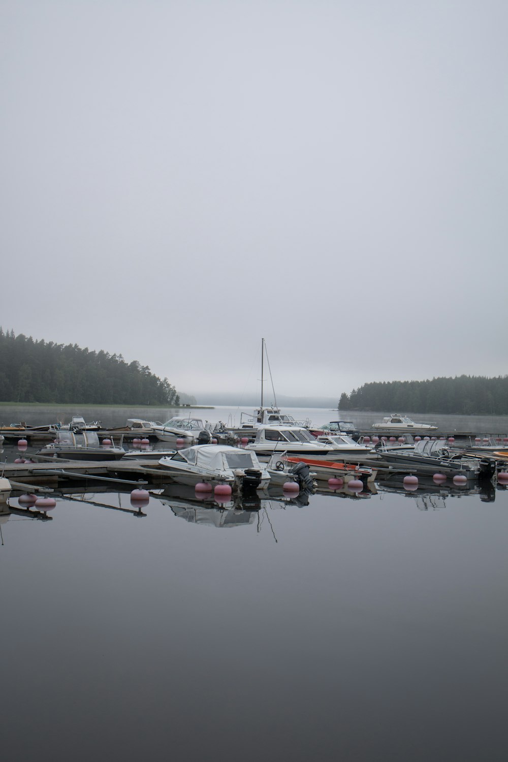 boats on dock