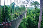 woman walking on hanging bridge