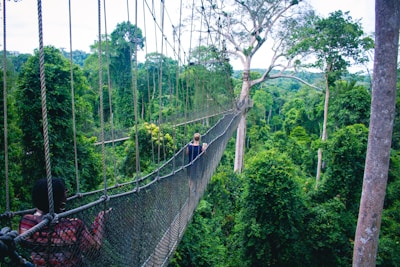 woman walking on hanging bridge