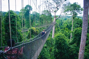 woman walking on hanging bridge
