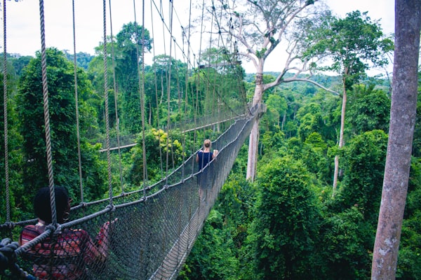Woman walking on a hanging canopy bridge in Ghana — photo by orva studio on Unsplash