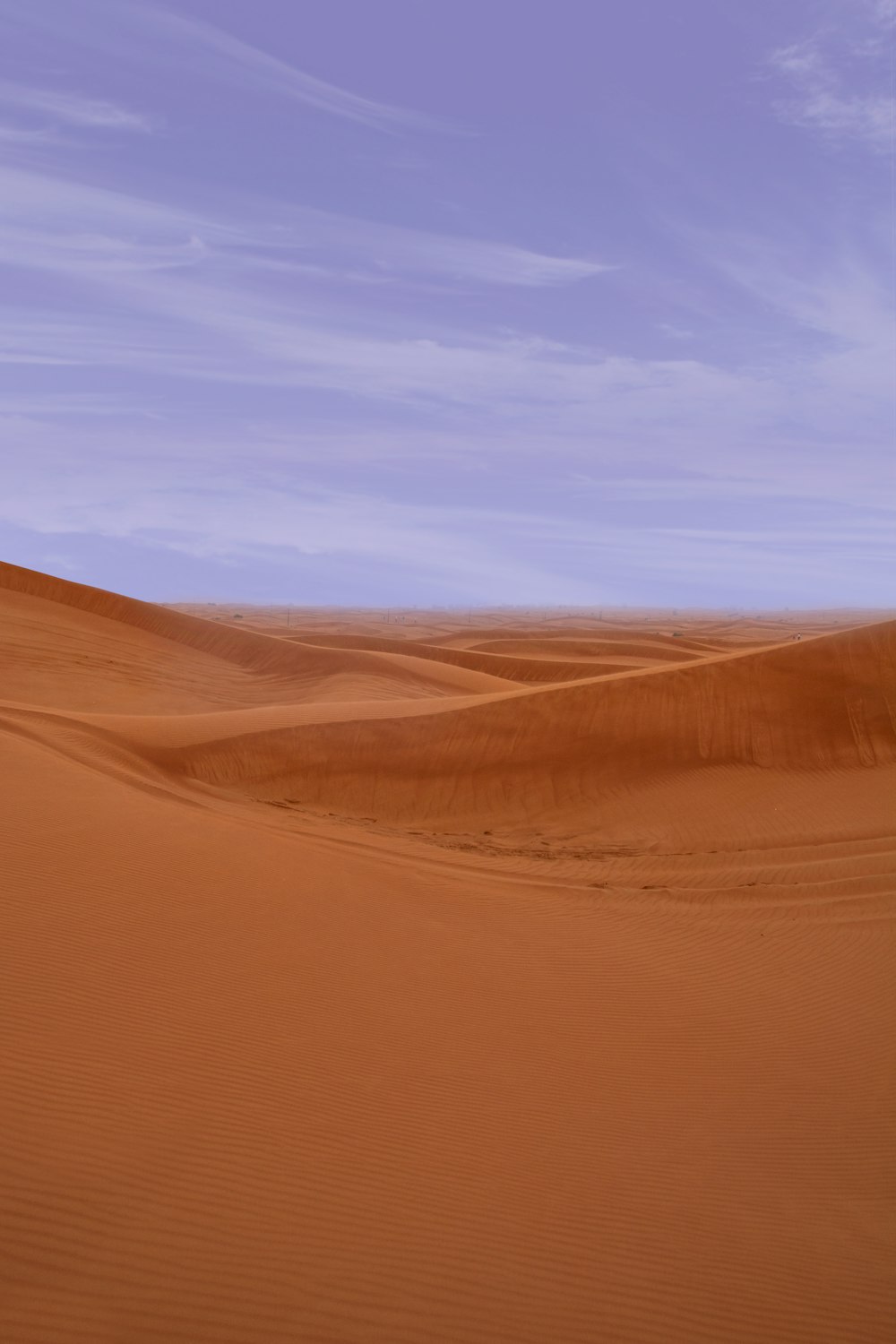 昼��間の砂丘