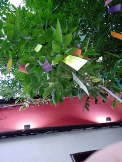 Guests leaving their digital fingerprints on the symbolic tree in the digital guestbook.