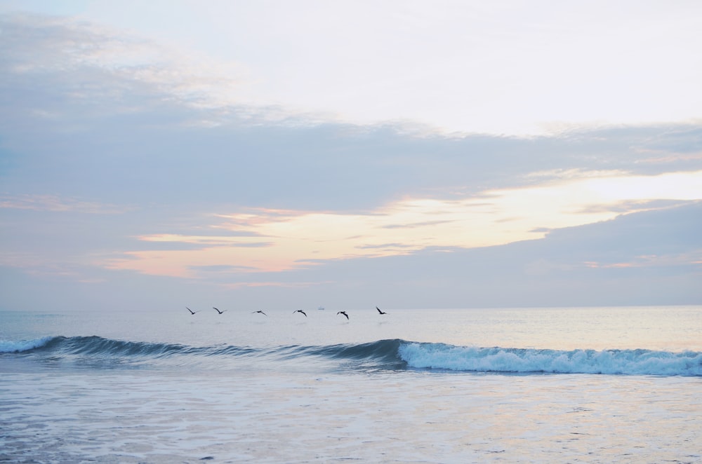 panoramic photography of sea during sunset