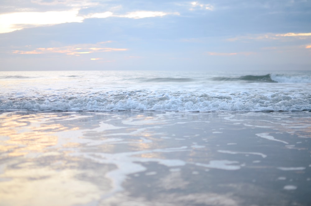 seashore during daytime