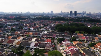 A sprawling suburban neighborhood is depicted, featuring rows of closely-packed houses with colorful roofs. The area is lush with greenery, surrounding the neighborhood with trees and grasslands. In the distant background, a skyline of tall buildings looms under a partially cloudy sky.