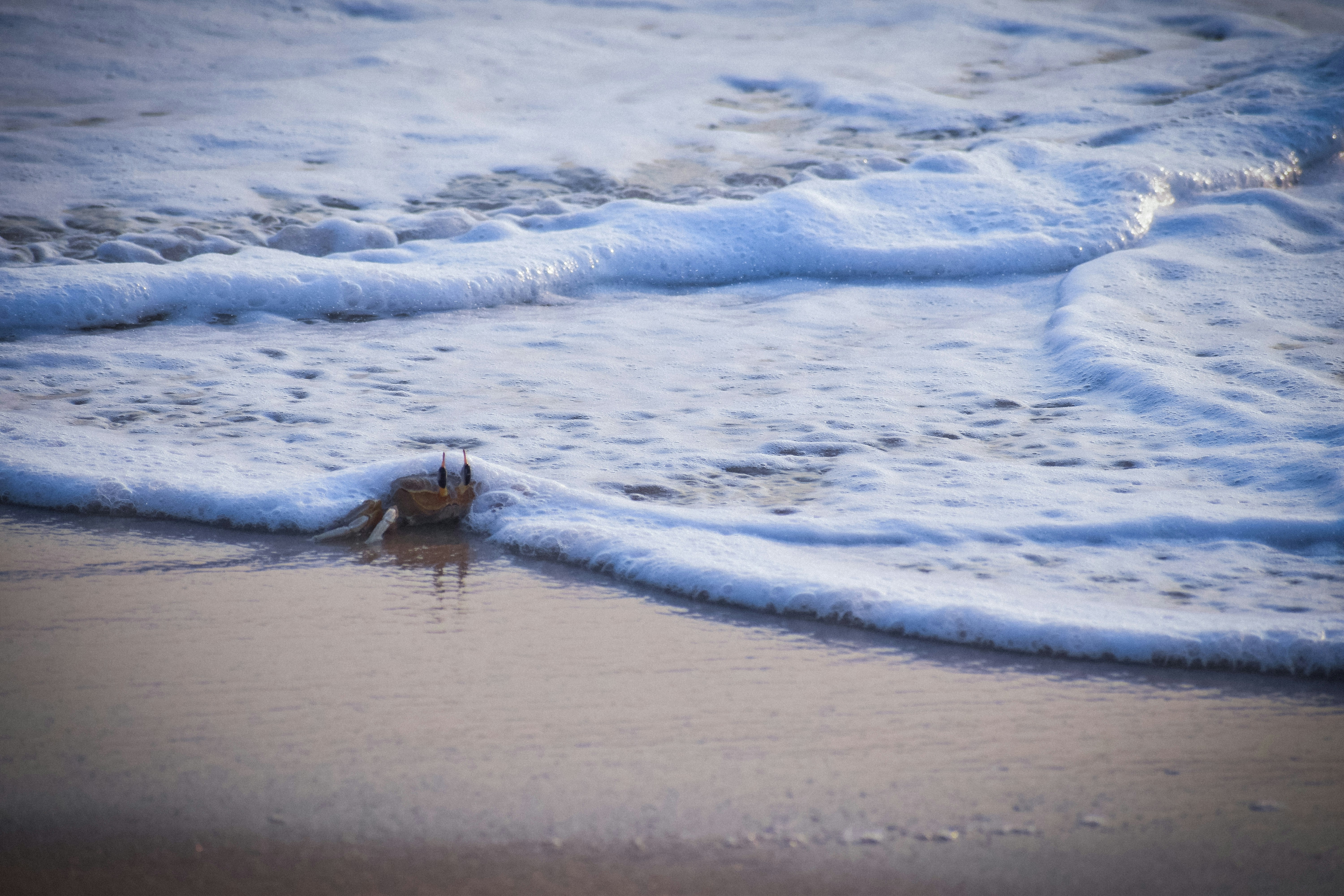 Photo by fazilmuthus