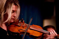 brown violin