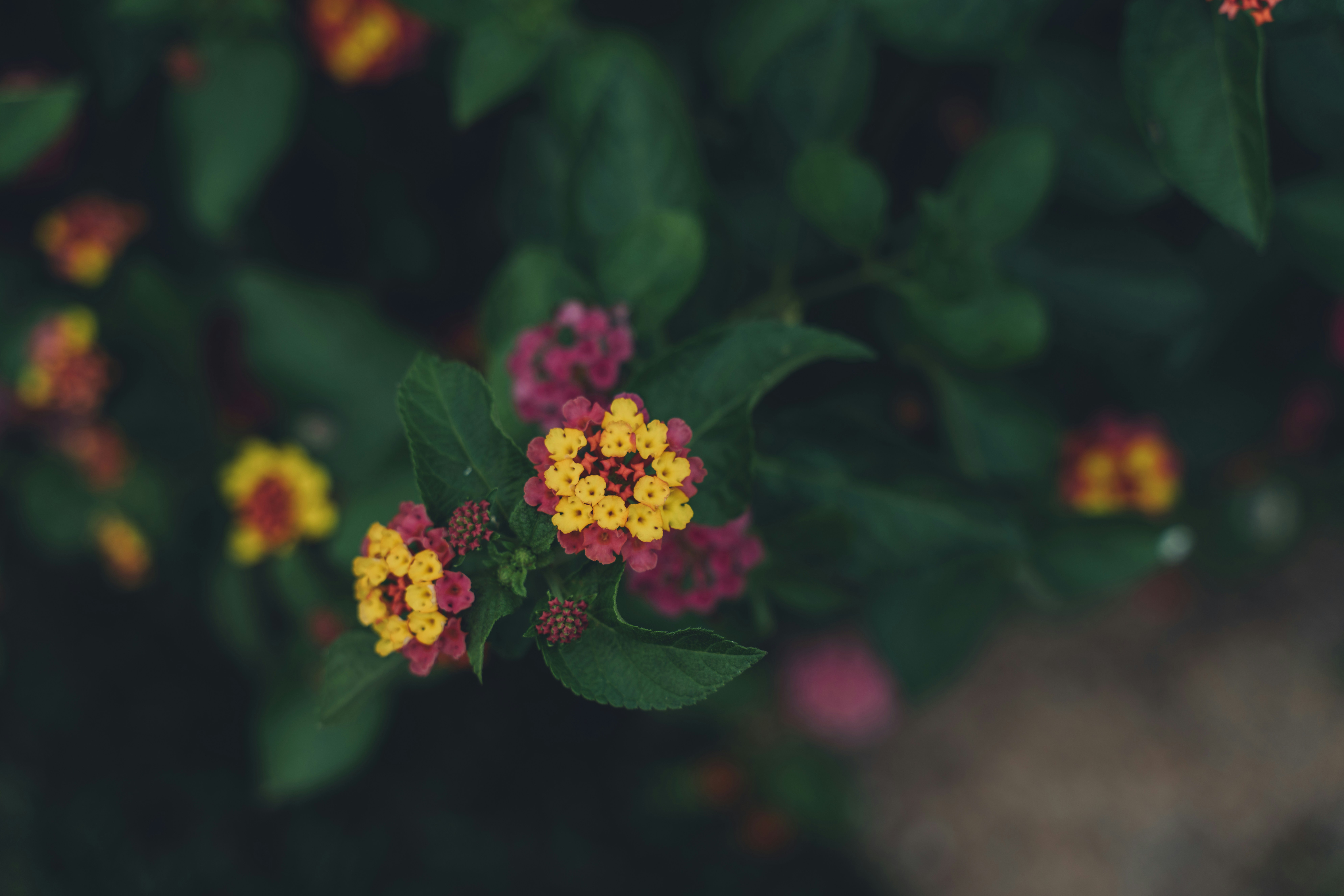 Photo by jerry_318