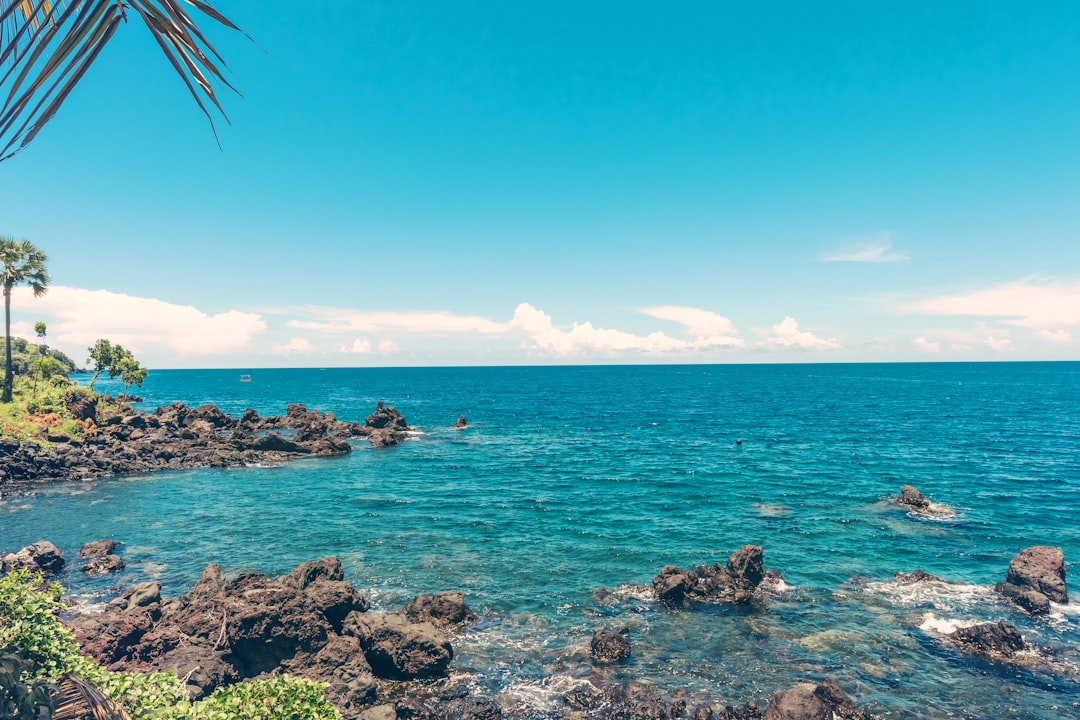 rocky shore during day