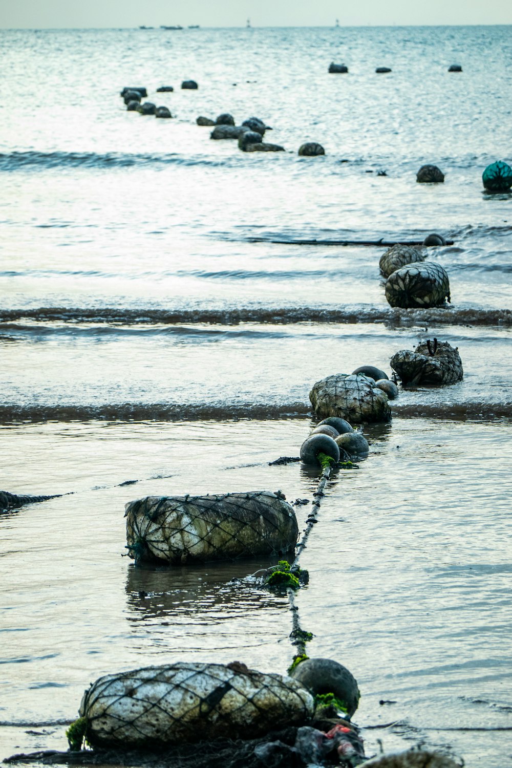 fishing net float floating at the shore and to the sea