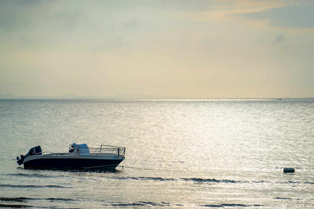 white and black boat on body of water at golden hour