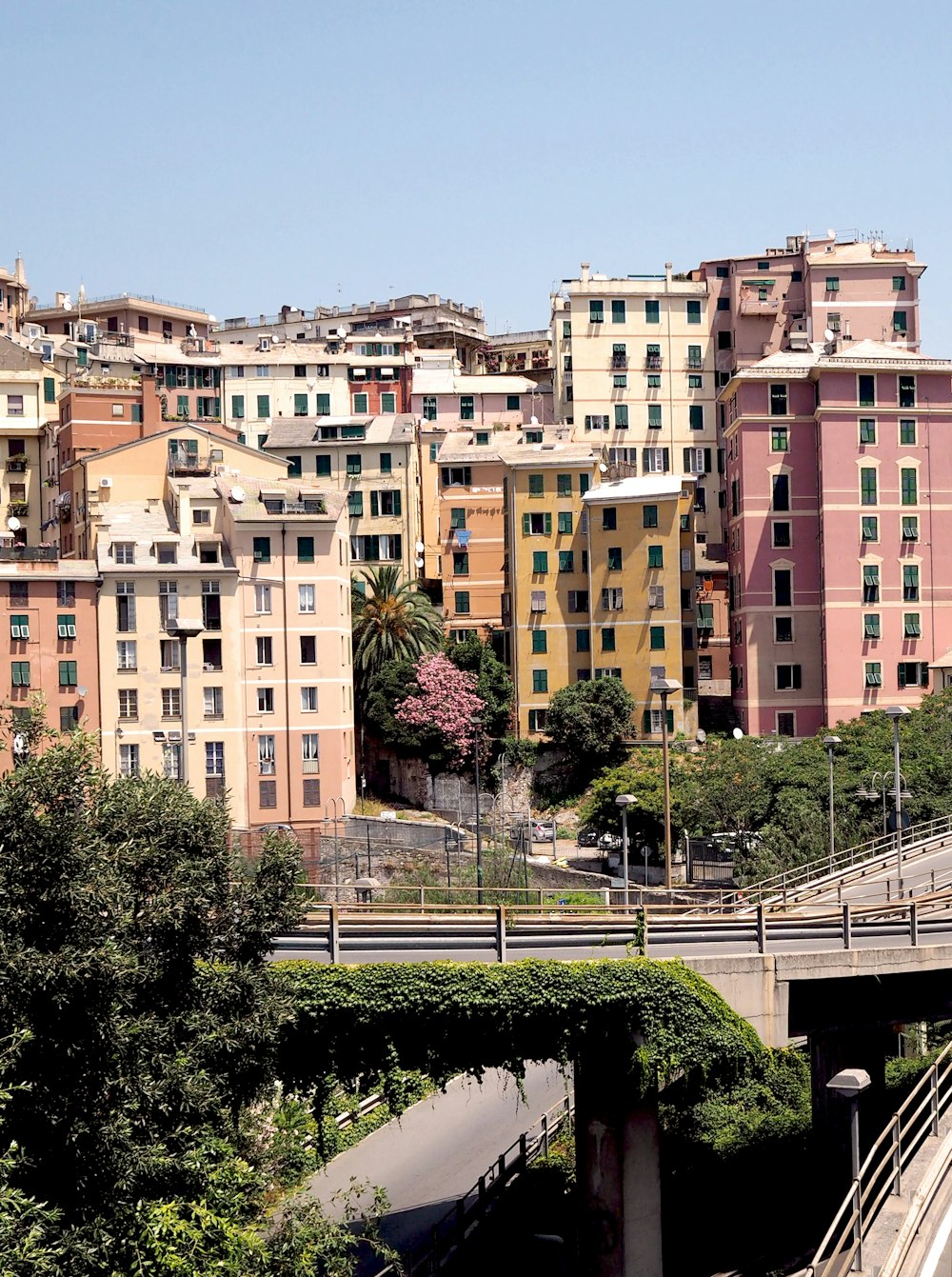 Città con grattacieli vicino al ponte circondato da alberi alti e verdi