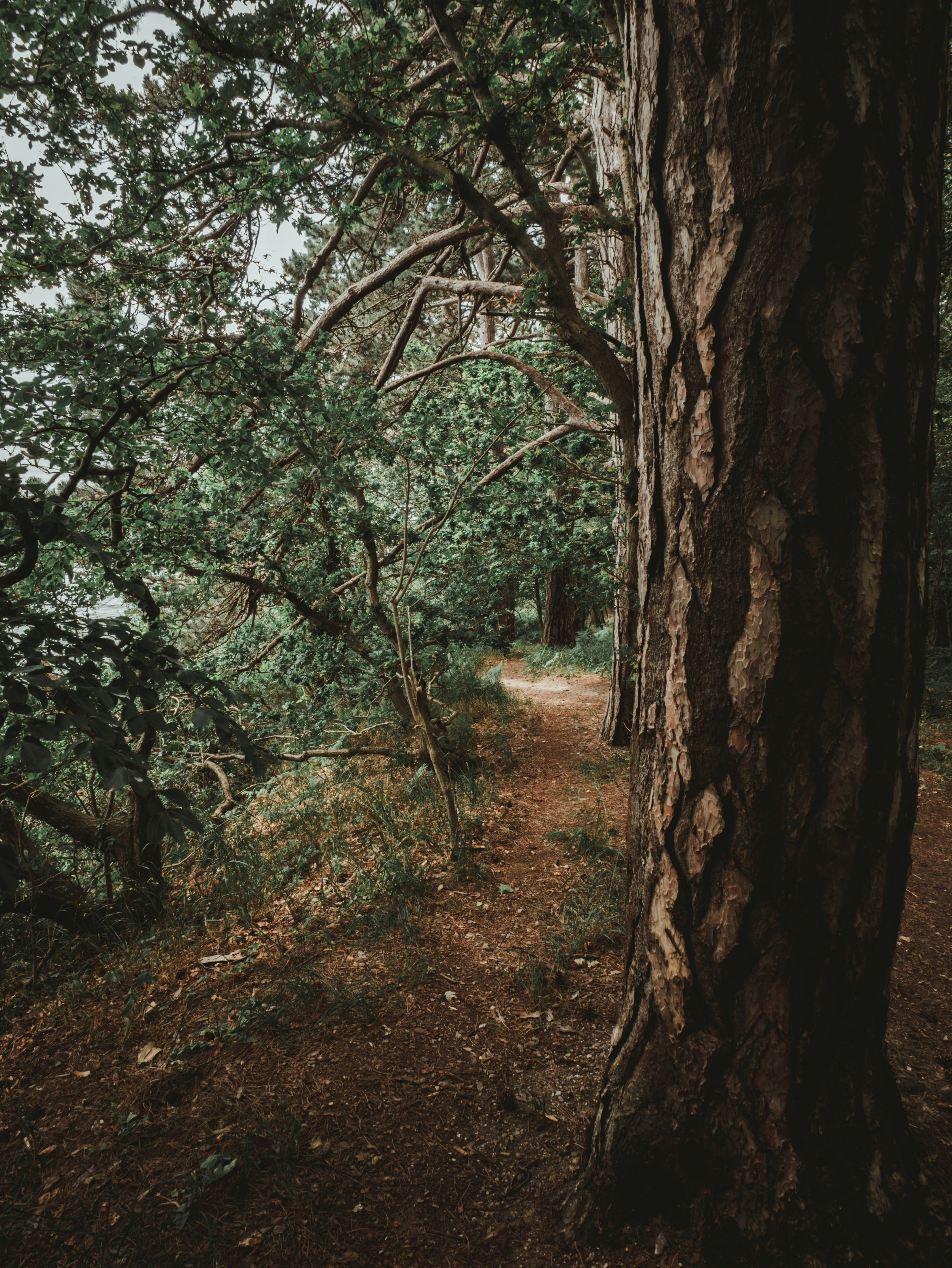 Photo by nicolasweldingh