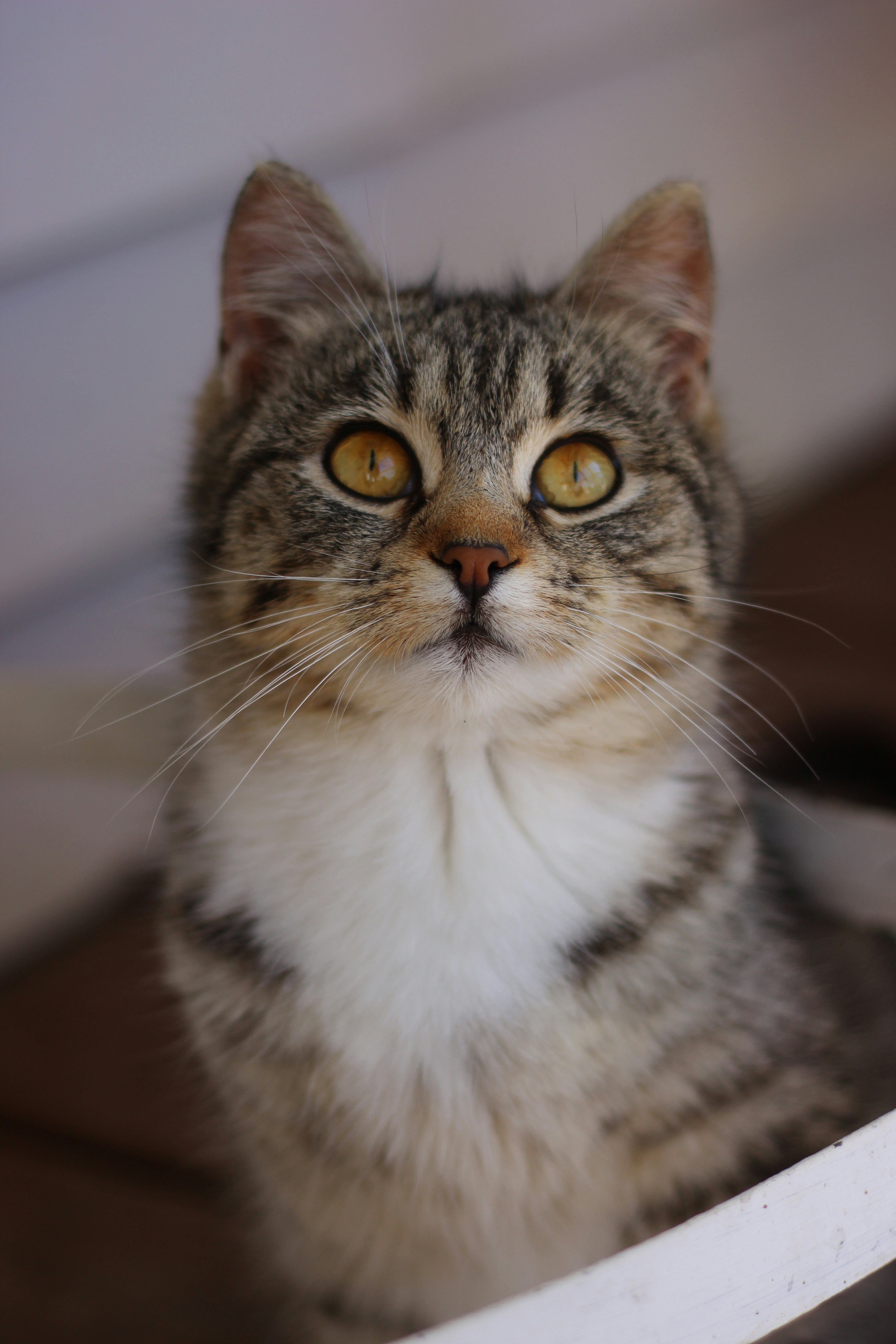 Photo by chelseakphotography