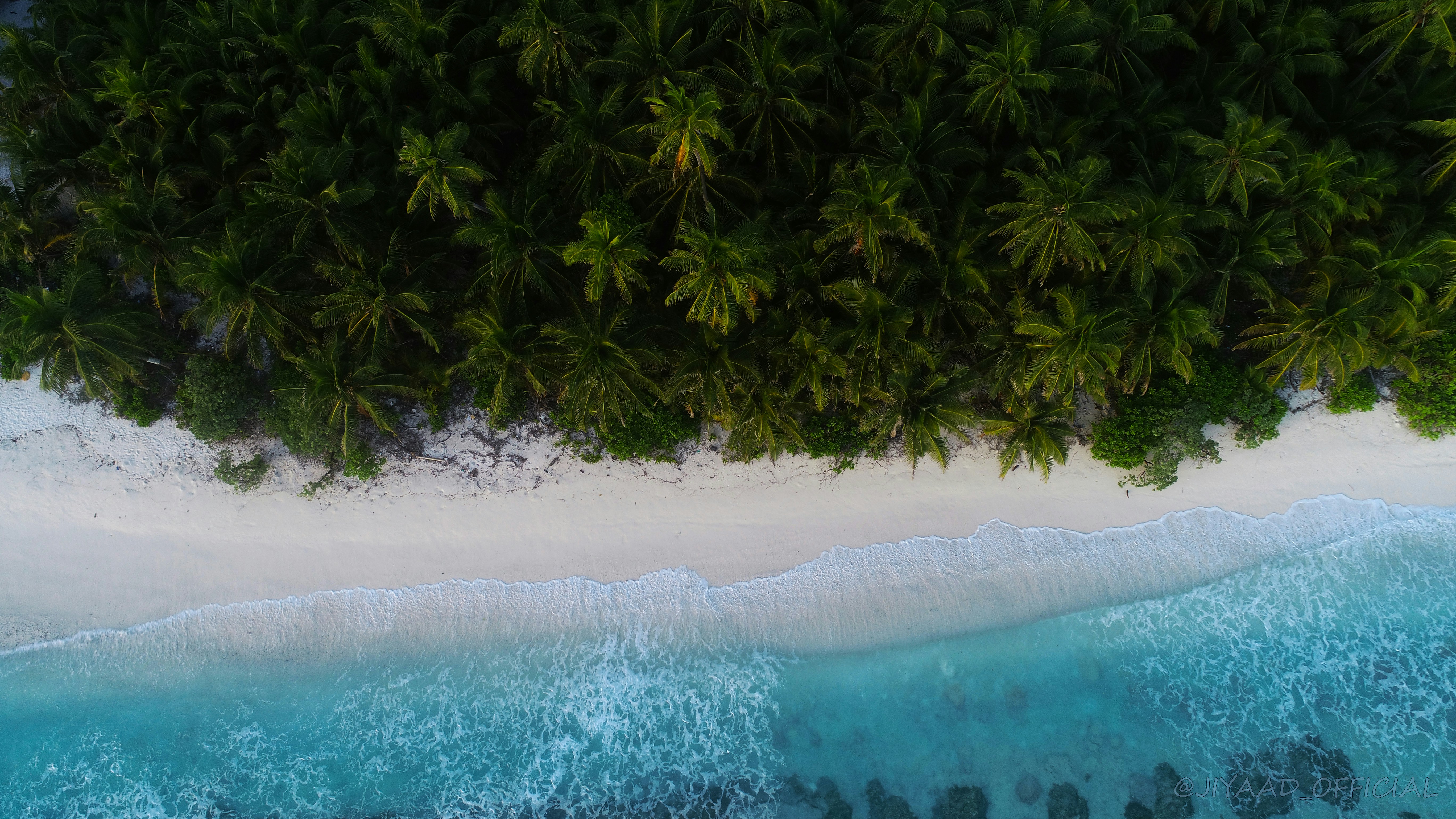 high-angle photography of green trees beside body of water at daytime