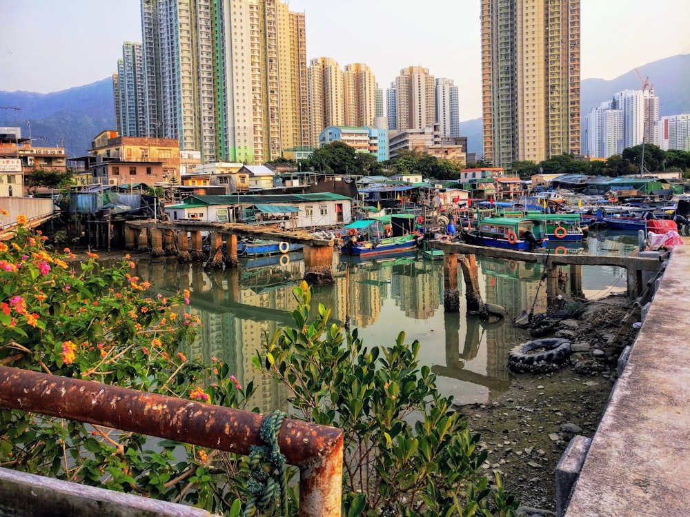 city with high-rise buildings viewing lake during daytime