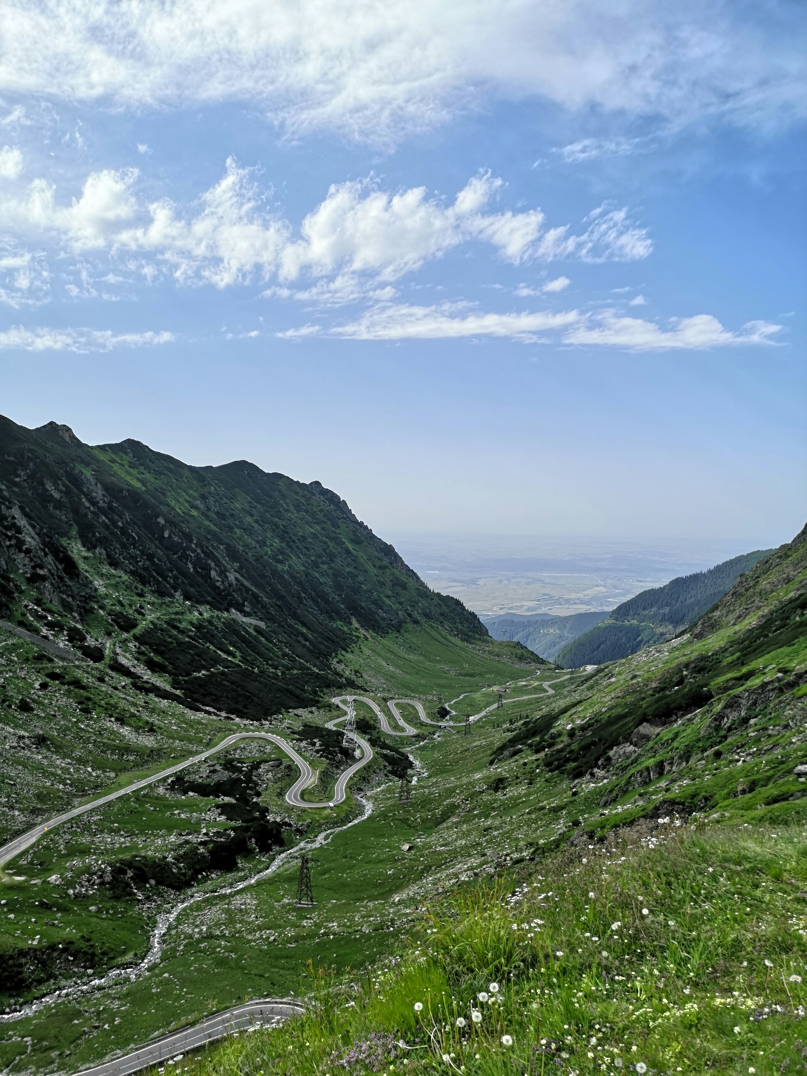 Photo by barari_photography