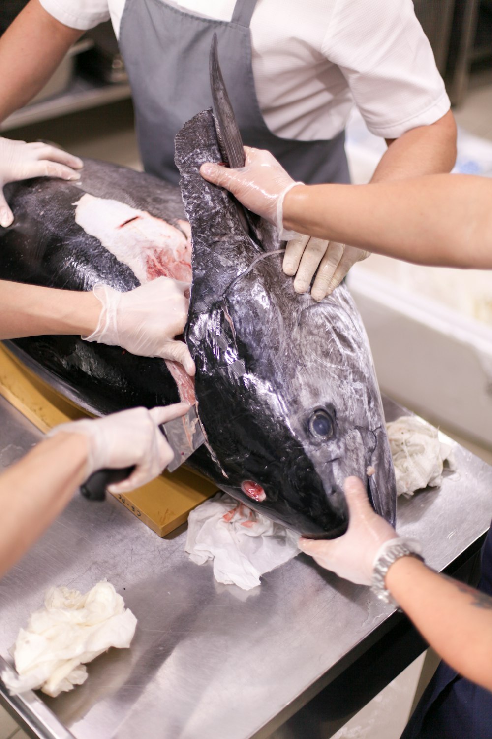 people holding and slicing tuna