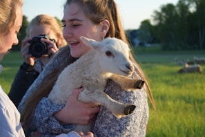 Young farmer gently handling a lamb, showcasing care and modern livestock management