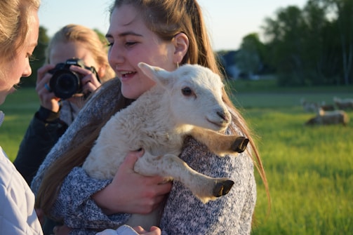 A smiling family gathered around a lamb, sharing a special petting zoo experience.