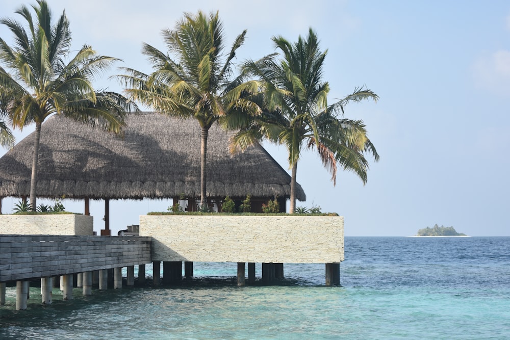 kiosk on dock with coconut trees
