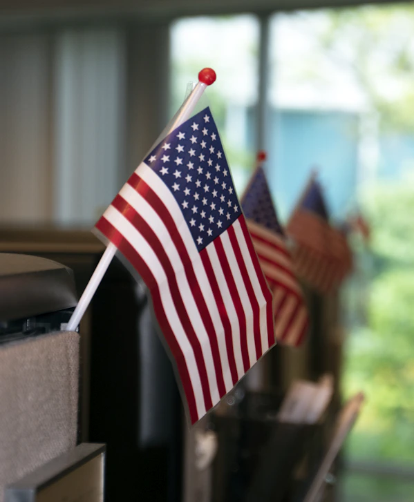 flaglet of USA