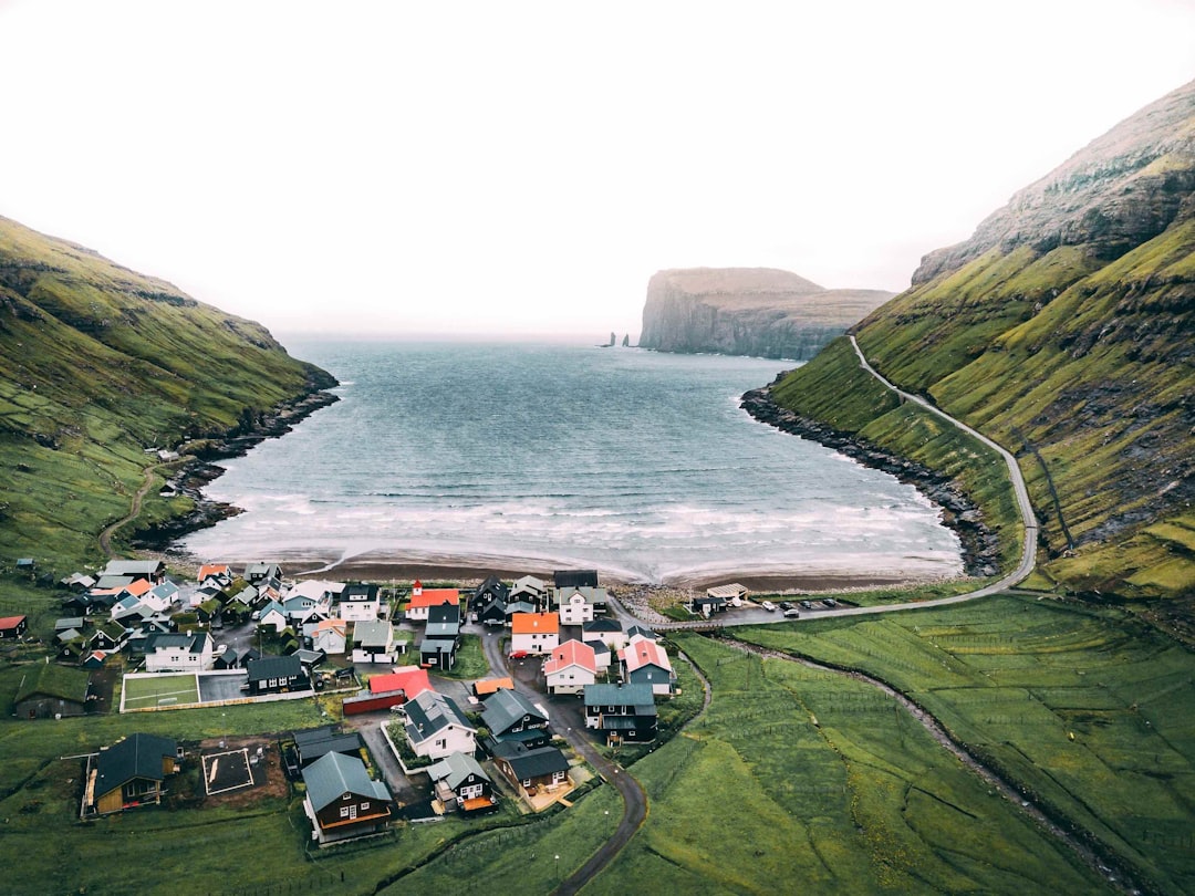 houses in a green field near body of water during daytime