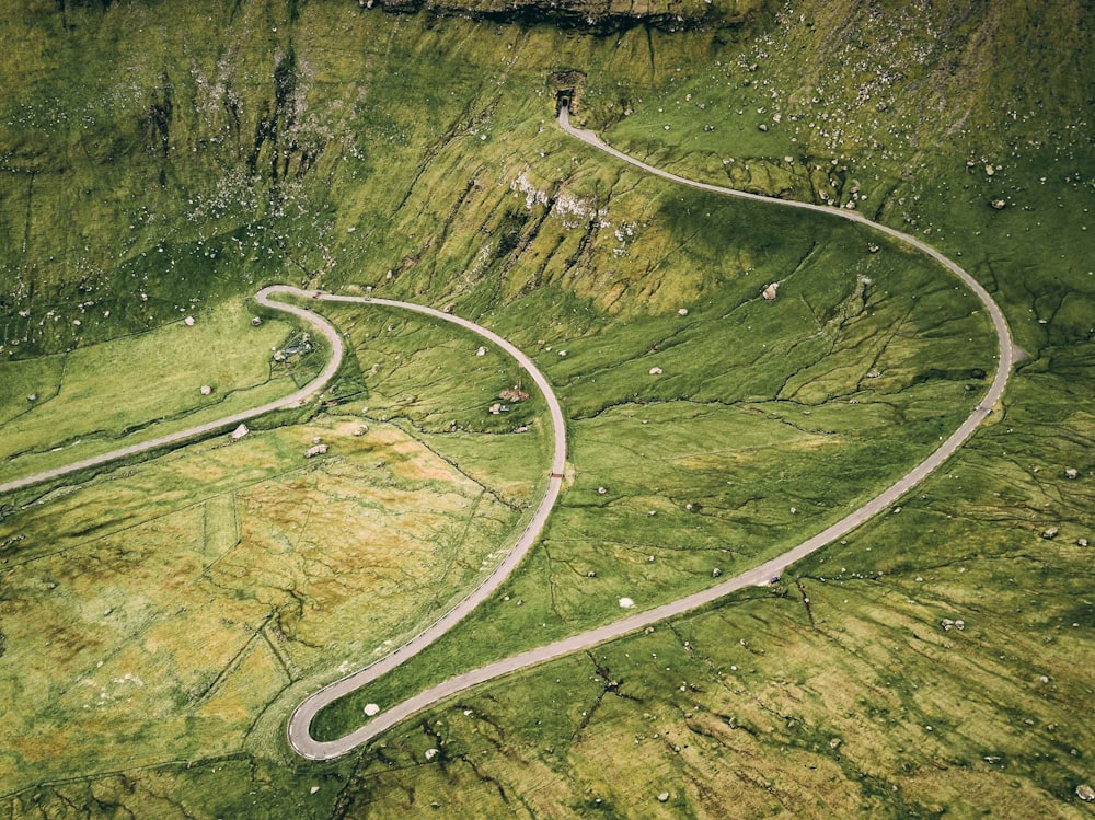 aerial photography of road between plants