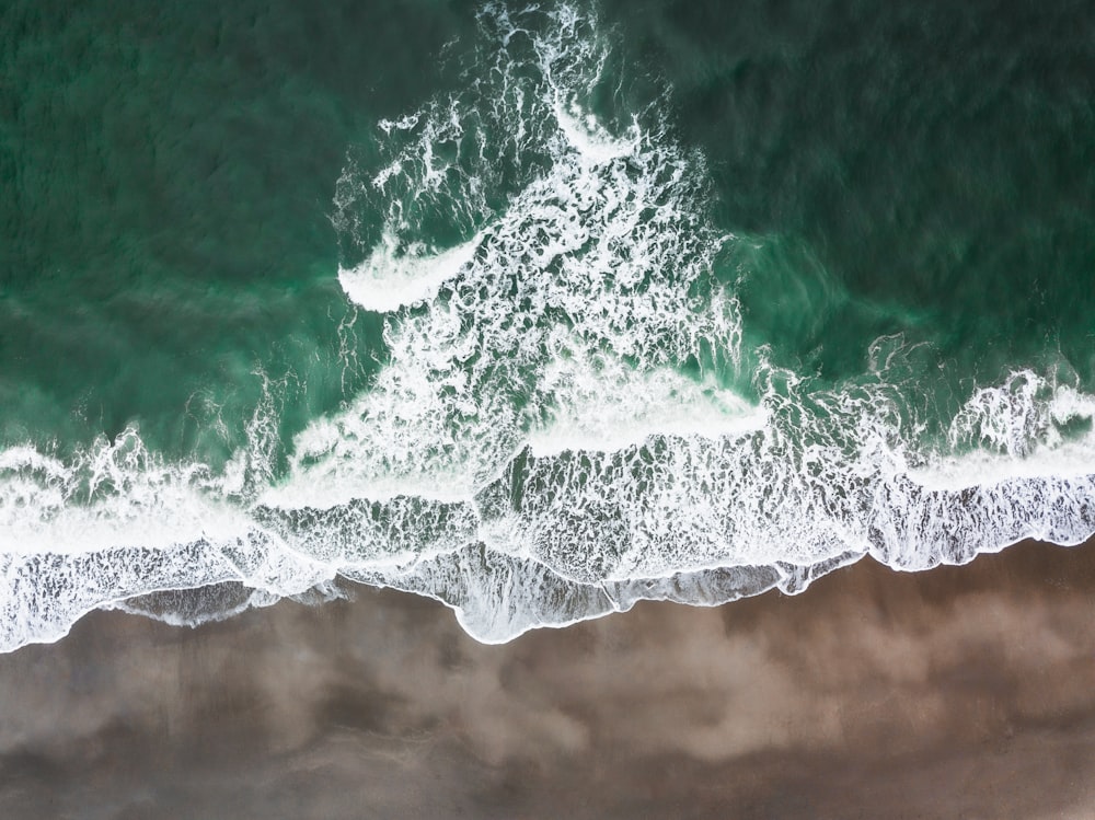 aerial photo of seashore during daytime