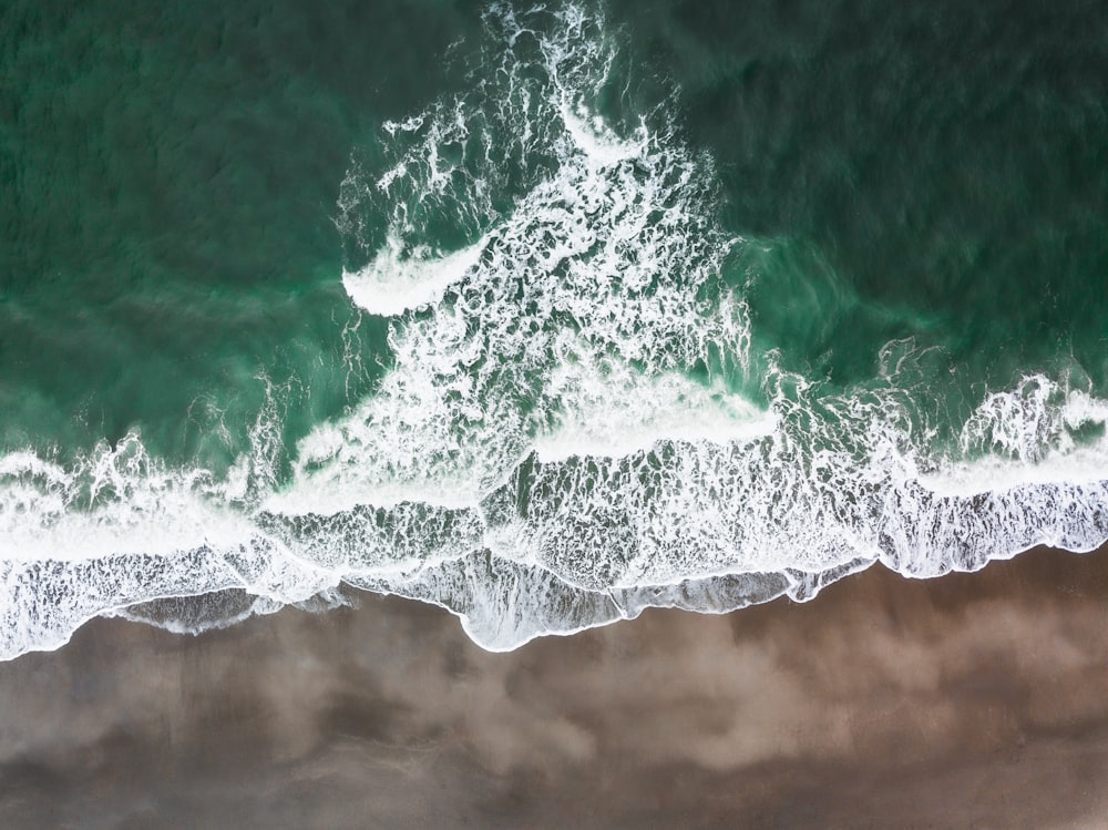 foto aerea della riva del mare durante il giorno