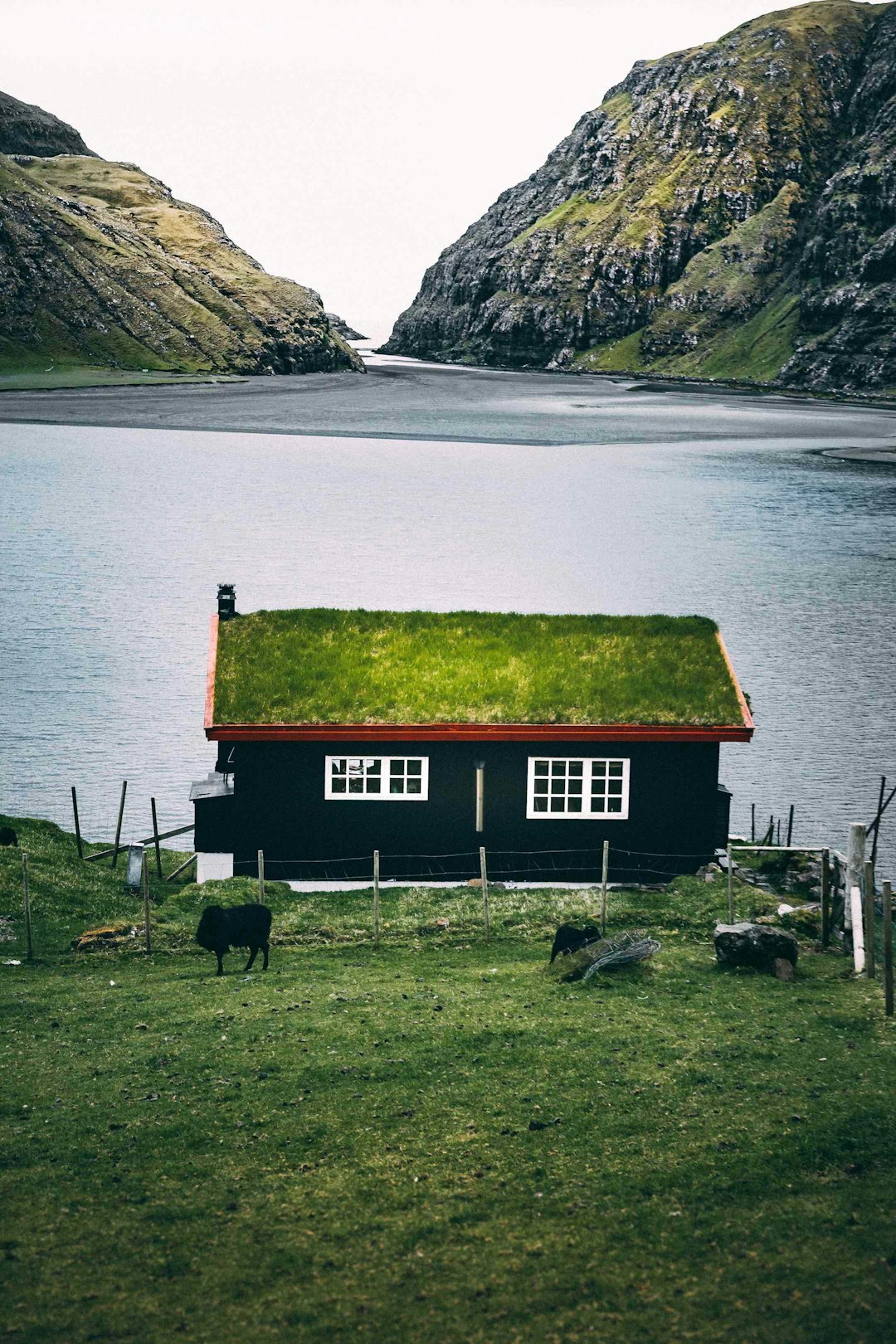 black house and grasses on roof